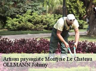 Artisan paysagiste montjoie-le-chateau-25190 OLLMANN Johnny