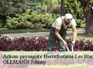 Artisan paysagiste pierrefontaine-les-blamon-25310 OLLMANN Johnny