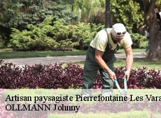 Artisan paysagiste pierrefontaine-les-varans-25510 OLLMANN Johnny
