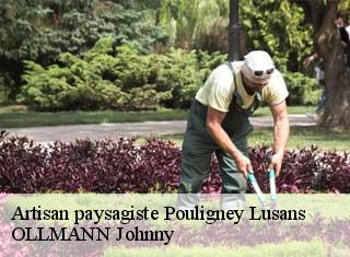 Artisan paysagiste  pouligney-lusans-25640 OLLMANN Johnny 