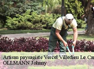 Artisan paysagiste  vercel-villedieu-le-camp-25530 OLLMANN Johnny 