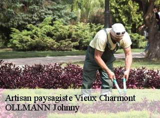 Artisan paysagiste vieux-charmont-25600 OLLMANN Johnny