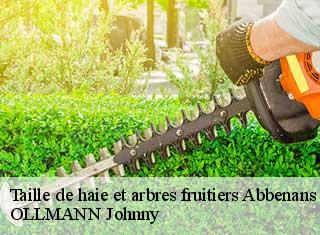 Taille de haie et arbres fruitiers  abbenans-25340 OLLMANN Johnny 