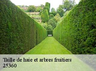 Taille de haie et arbres fruitiers  25360