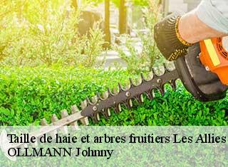 Taille de haie et arbres fruitiers  les-allies-25300 OLLMANN Johnny 