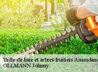 Taille de haie et arbres fruitiers  amondans-25330 OLLMANN Johnny 