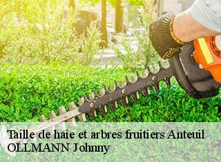 Taille de haie et arbres fruitiers  anteuil-25340 OLLMANN Johnny 