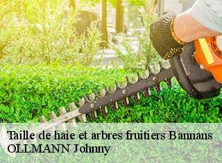 Taille de haie et arbres fruitiers  bannans-25560 OLLMANN Johnny 