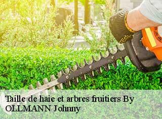 Taille de haie et arbres fruitiers by-25440 OLLMANN Johnny