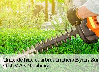 Taille de haie et arbres fruitiers  byans-sur-doubs-25320 OLLMANN Johnny 