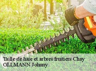 Taille de haie et arbres fruitiers  chay-25440 OLLMANN Johnny 