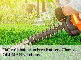 Taille de haie et arbres fruitiers  chazot-25430 OLLMANN Johnny 