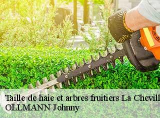 Taille de haie et arbres fruitiers  la-chevillotte-25620 OLLMANN Johnny 