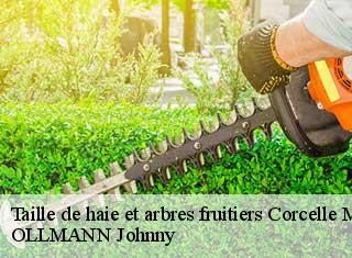 Taille de haie et arbres fruitiers  corcelle-mieslot-25640 OLLMANN Johnny 