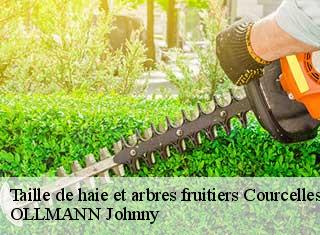 Taille de haie et arbres fruitiers courcelles-25440 OLLMANN Johnny