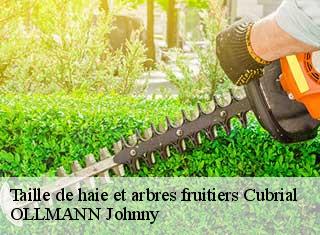 Taille de haie et arbres fruitiers  cubrial-25680 OLLMANN Johnny 