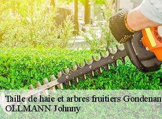 Taille de haie et arbres fruitiers  gondenans-montby-25340 OLLMANN Johnny 