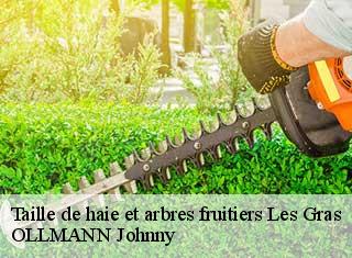 Taille de haie et arbres fruitiers les-gras-25790 OLLMANN Johnny