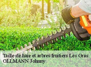 Taille de haie et arbres fruitiers  les-gras-25790 OLLMANN Johnny 