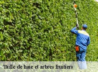 Taille de haie et arbres fruitiers