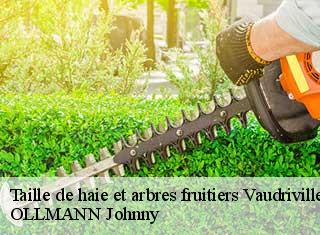 Taille de haie et arbres fruitiers  vaudrivillers-25360 OLLMANN Johnny 