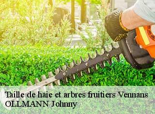 Taille de haie et arbres fruitiers  vennans-25640 OLLMANN Johnny 